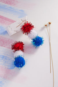 USA Earring