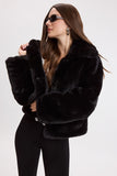 Jesse Jacket